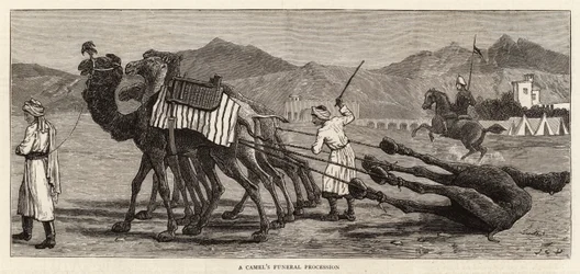 Ein Kamel-Begräbniszug